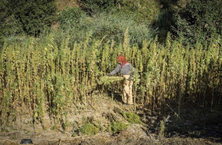 WhatsApp Image 2025-11-06 at 13.22.39