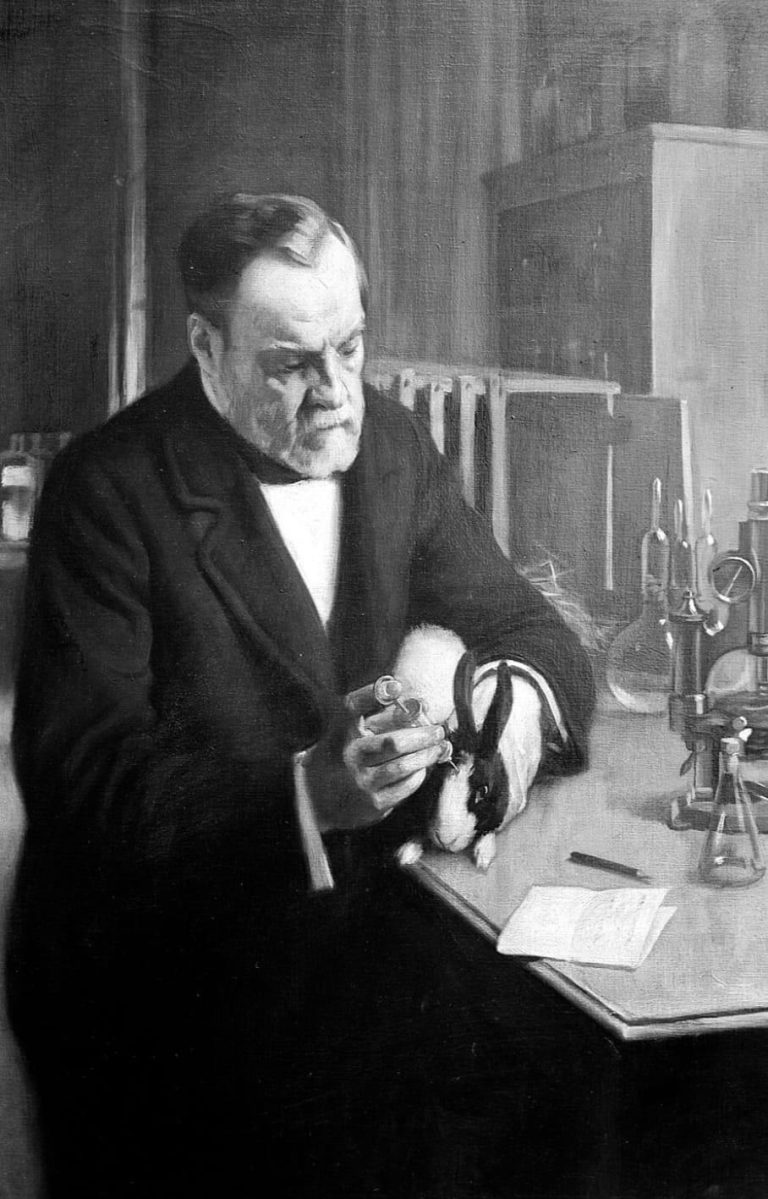 WhatsApp Image 2025-11-27 at 16.52.28