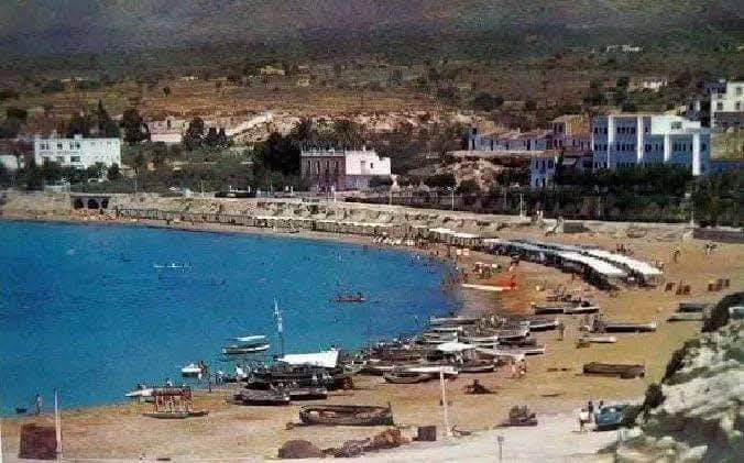 WhatsApp Image 2026-03-05 at 15.28.58 (8)