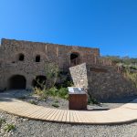 WhatsApp Image 2026-03-05 at 17.16.25 (1)