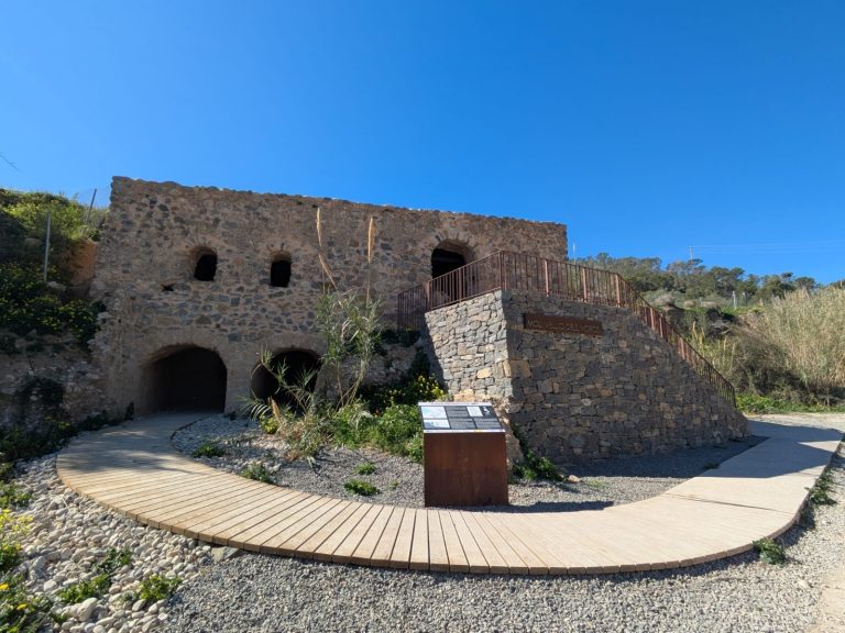 WhatsApp Image 2026-03-05 at 17.16.25 (1)