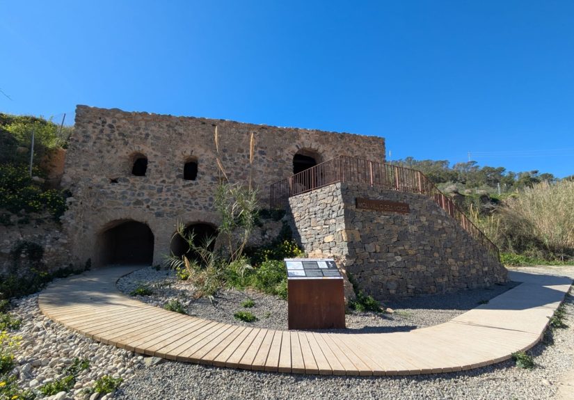 WhatsApp Image 2026-03-05 at 17.16.25 (1)