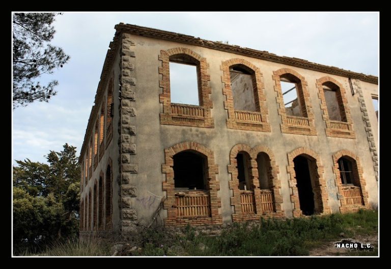 WhatsApp Image 2026-03-06 at 12.54.38