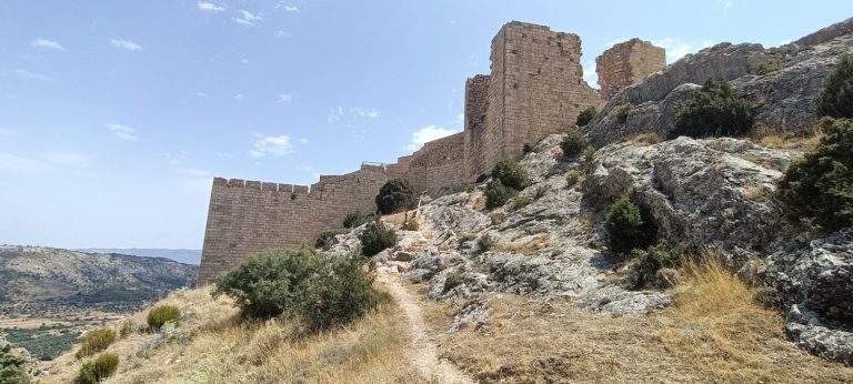 WhatsApp Image 2026-03-11 at 13.10.42